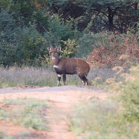 Ngangane Lodge & Reserve Франсистаун Екстериор снимка