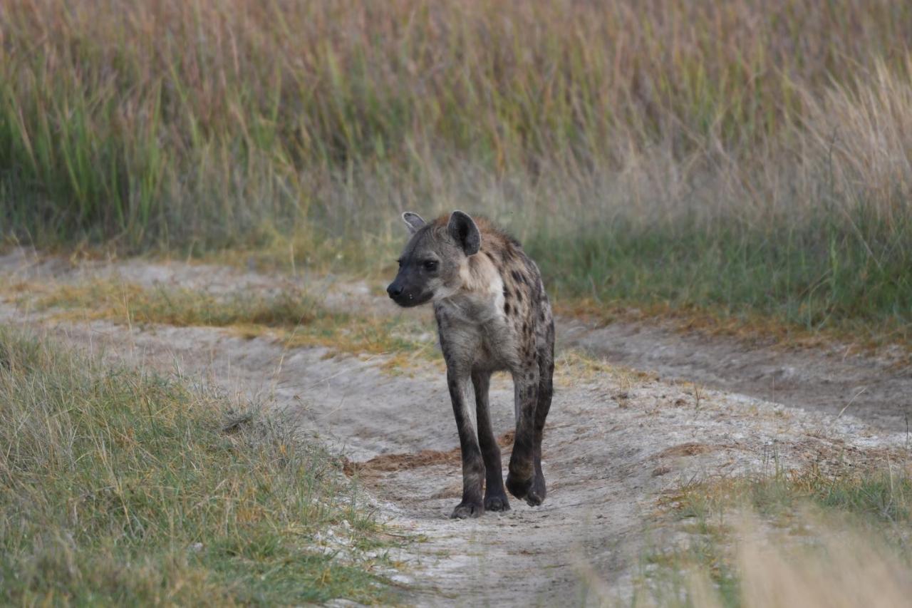 Ngangane Lodge & Reserve Франсистаун Екстериор снимка