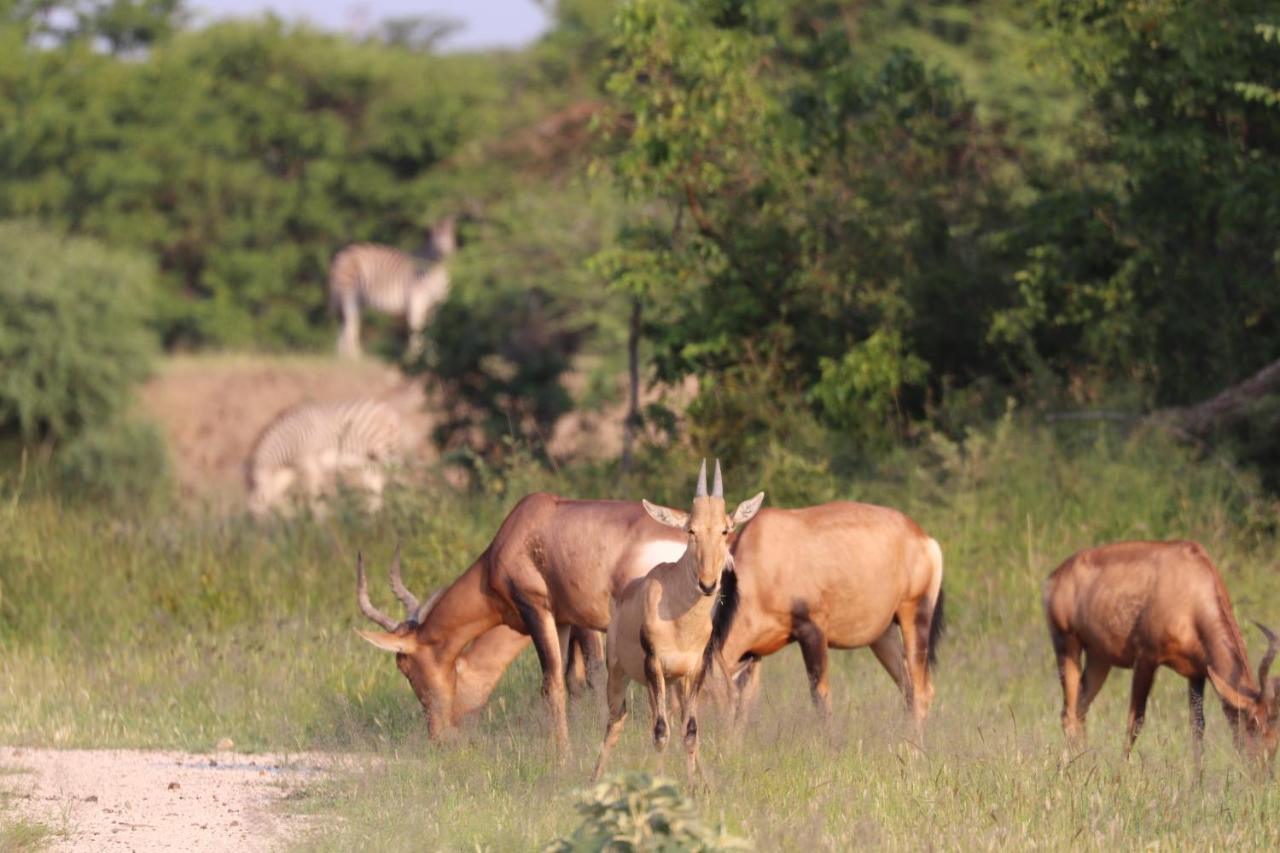 Ngangane Lodge & Reserve Франсистаун Екстериор снимка