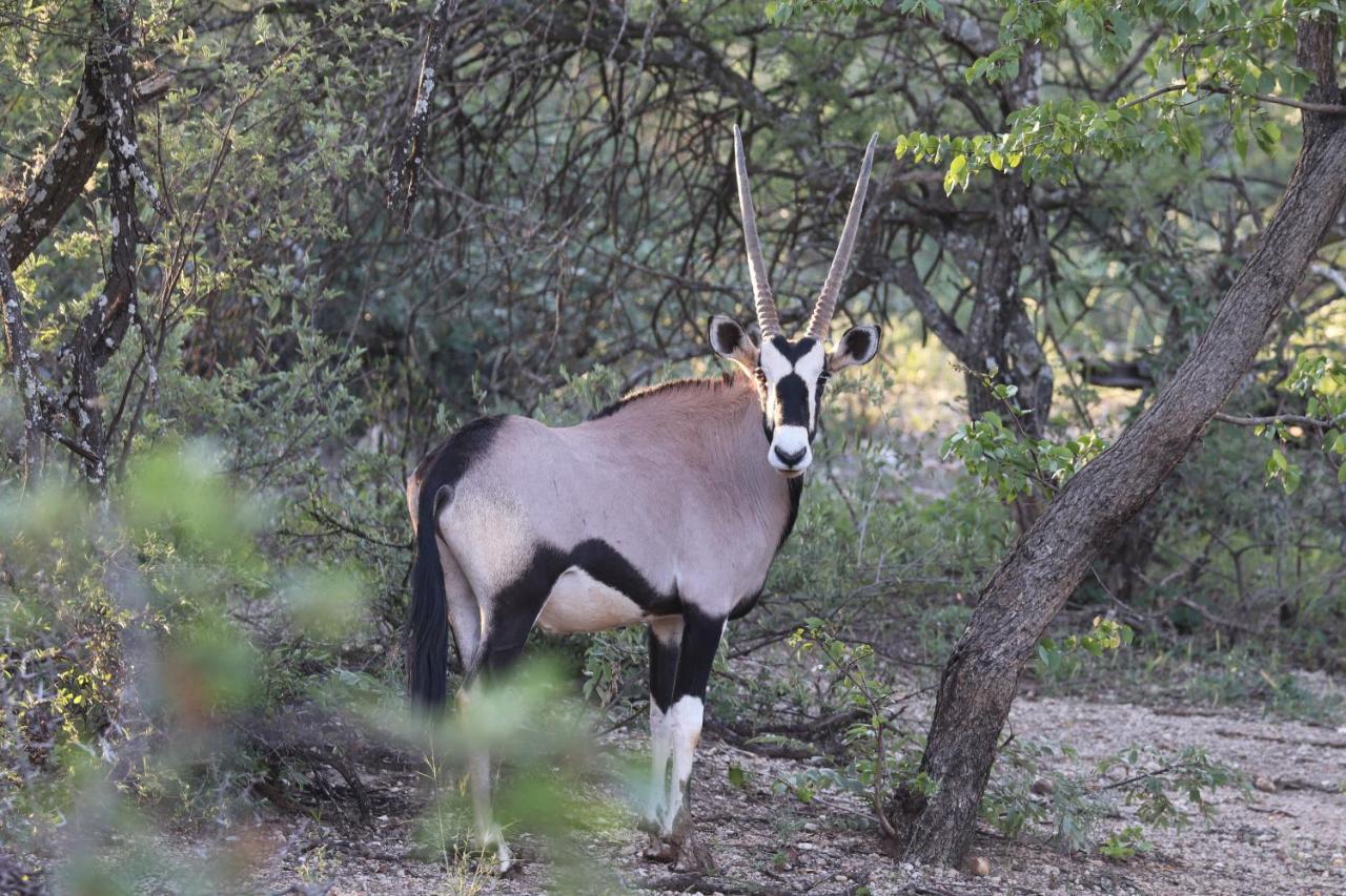 Ngangane Lodge & Reserve Франсистаун Екстериор снимка